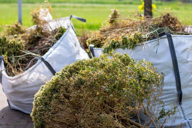 Best Shed Removal  in Sylvania, OH